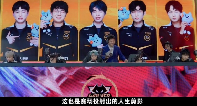 不仅提高了